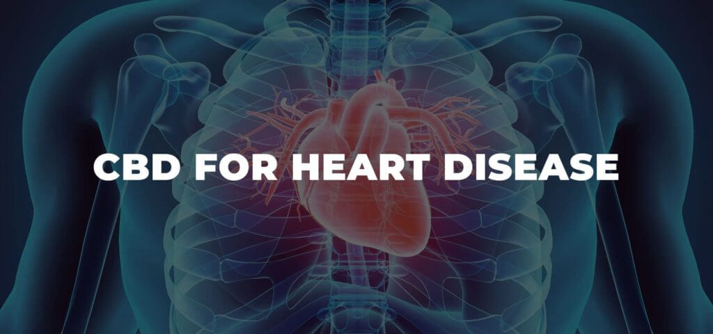 How CBD Can Be Helpful for Heart Diseases